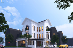 Nha-tan-co-dien-chu-dong-1