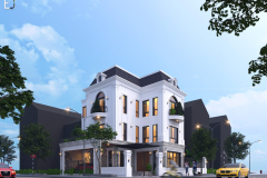 Nha-tan-co-dien-chu-dong-5